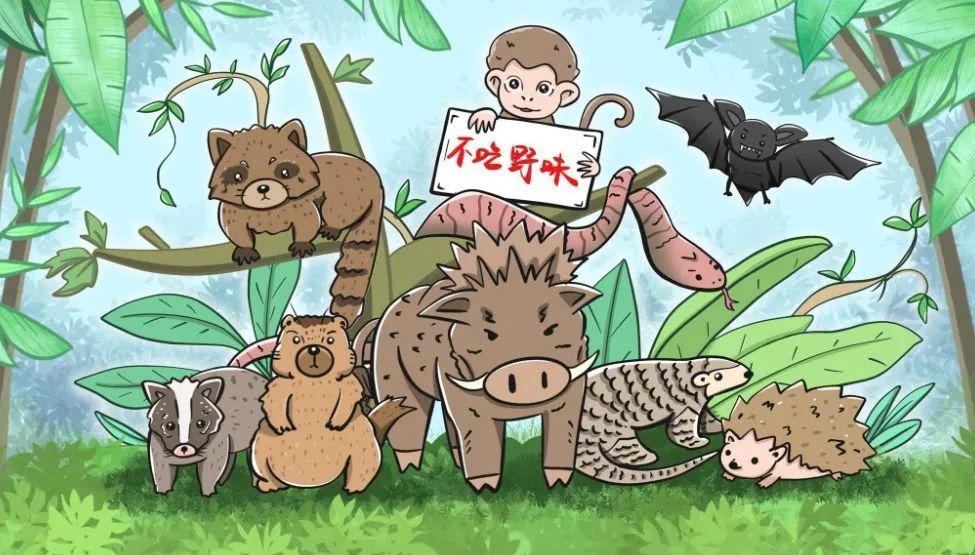 最嚴(yán)野生動(dòng)物“禁食”令,幫你理清哪些能吃哪些不能吃(圖1) 3-200310212419623.jpg